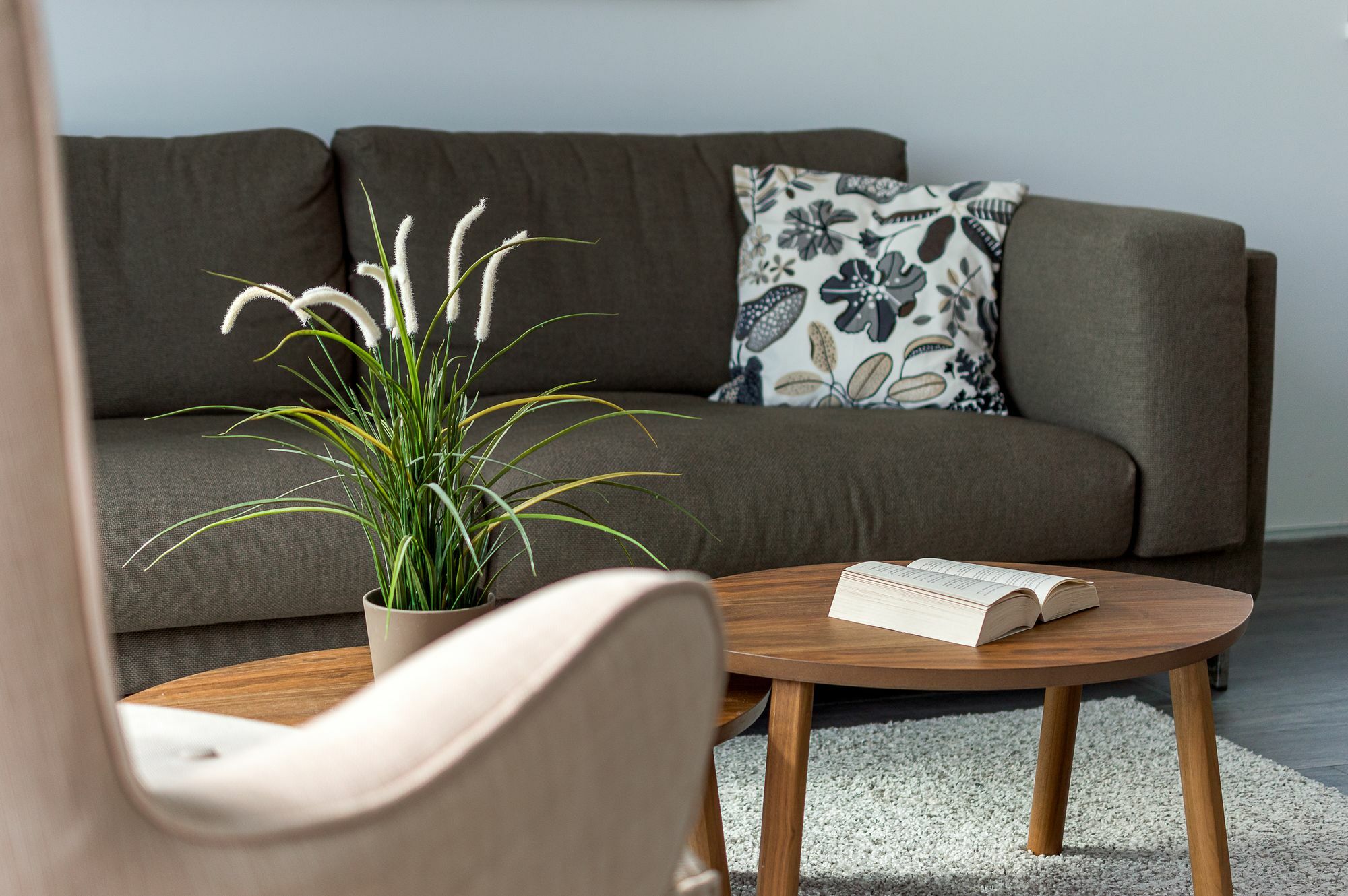 Luxury Apartments Jolara Mimice Dış mekan fotoğraf